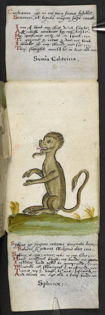 Lägg till MS 57312 f.14 spelbok (bläck & färg på veläng) av English School