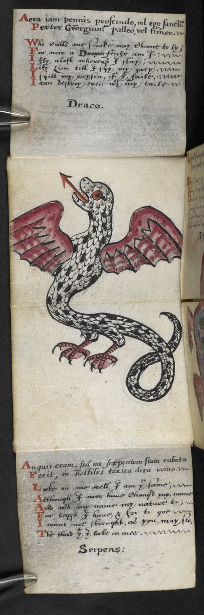 Lägg till MS 57312 f.3 spelbok (bläck & färg på veläng) av English School