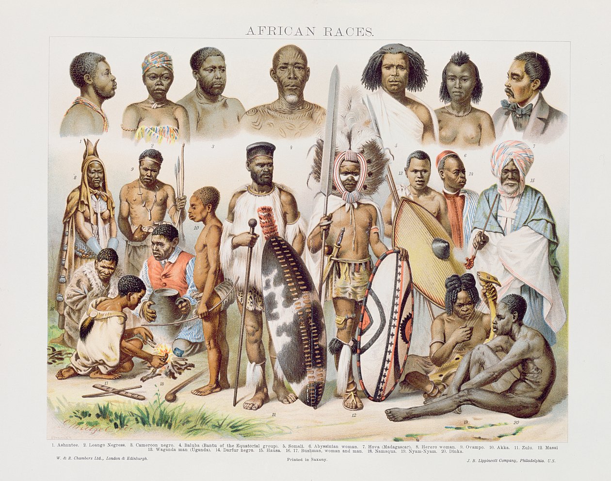 African Races (färggravyr) av English School