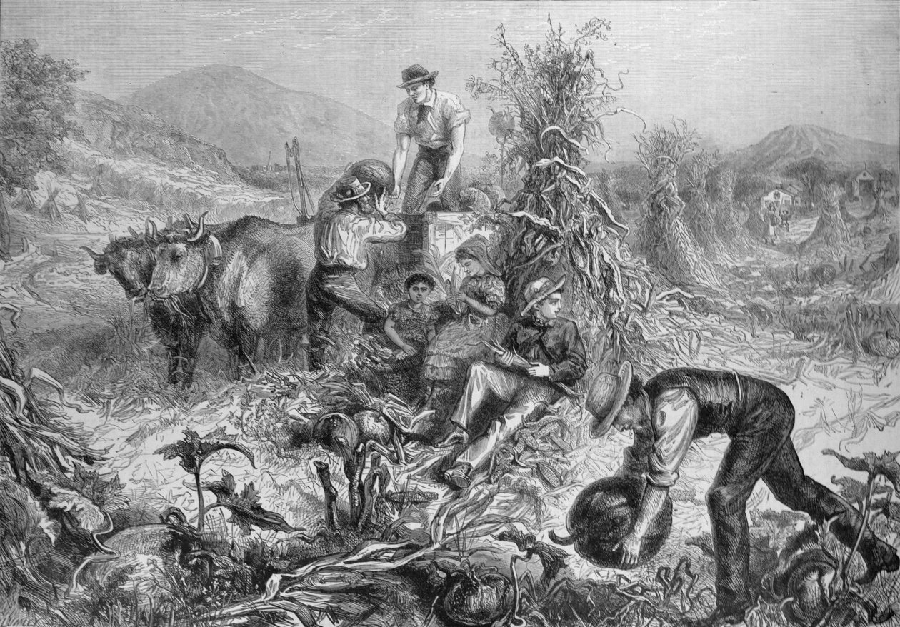 American Husbandry: Gathering Pumpkins and Husking Maize, från 