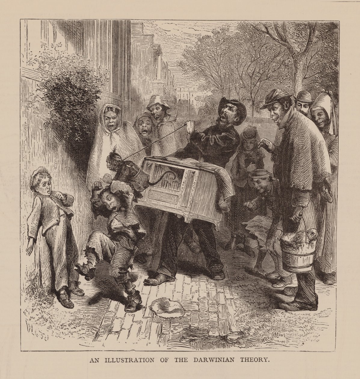 En illustration av den darwinistiska teorin (gravyr) av English School