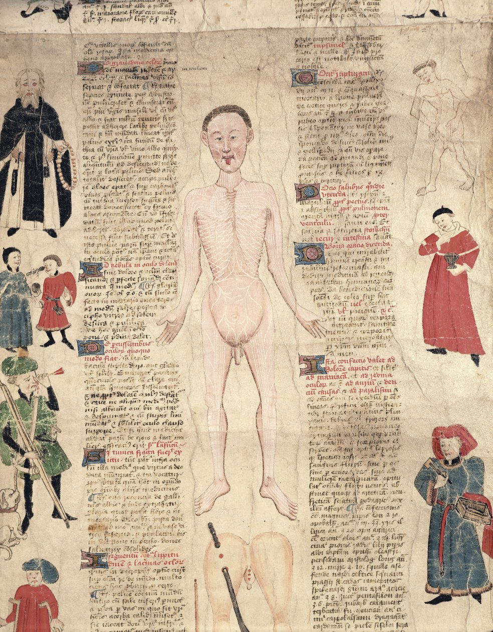 Anatomiskt diagram, från De arte phisicali e de cirugia av John Ardene, 1412 av English School
