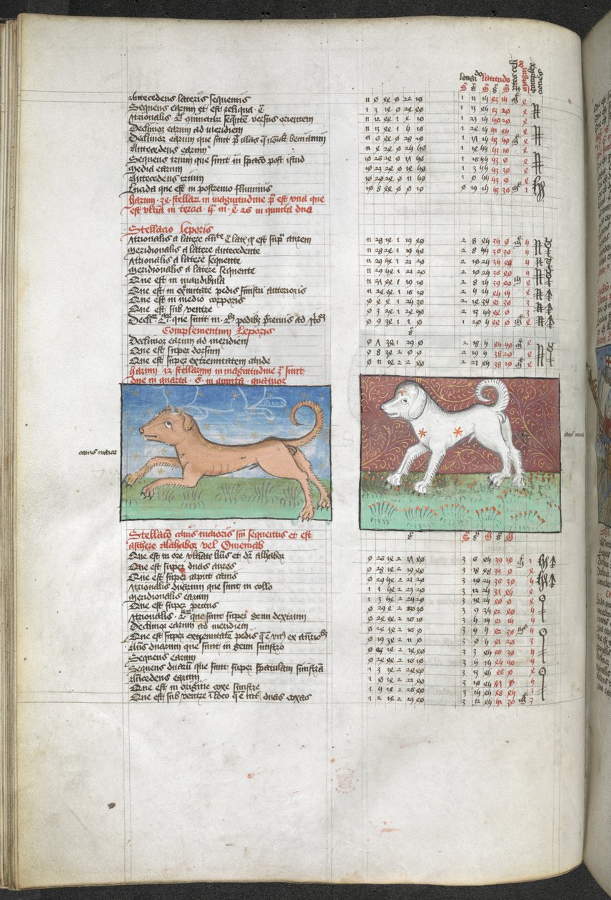 Arundel MS 66 f.44v Canis maior och Canis minor avbildade som hundar 