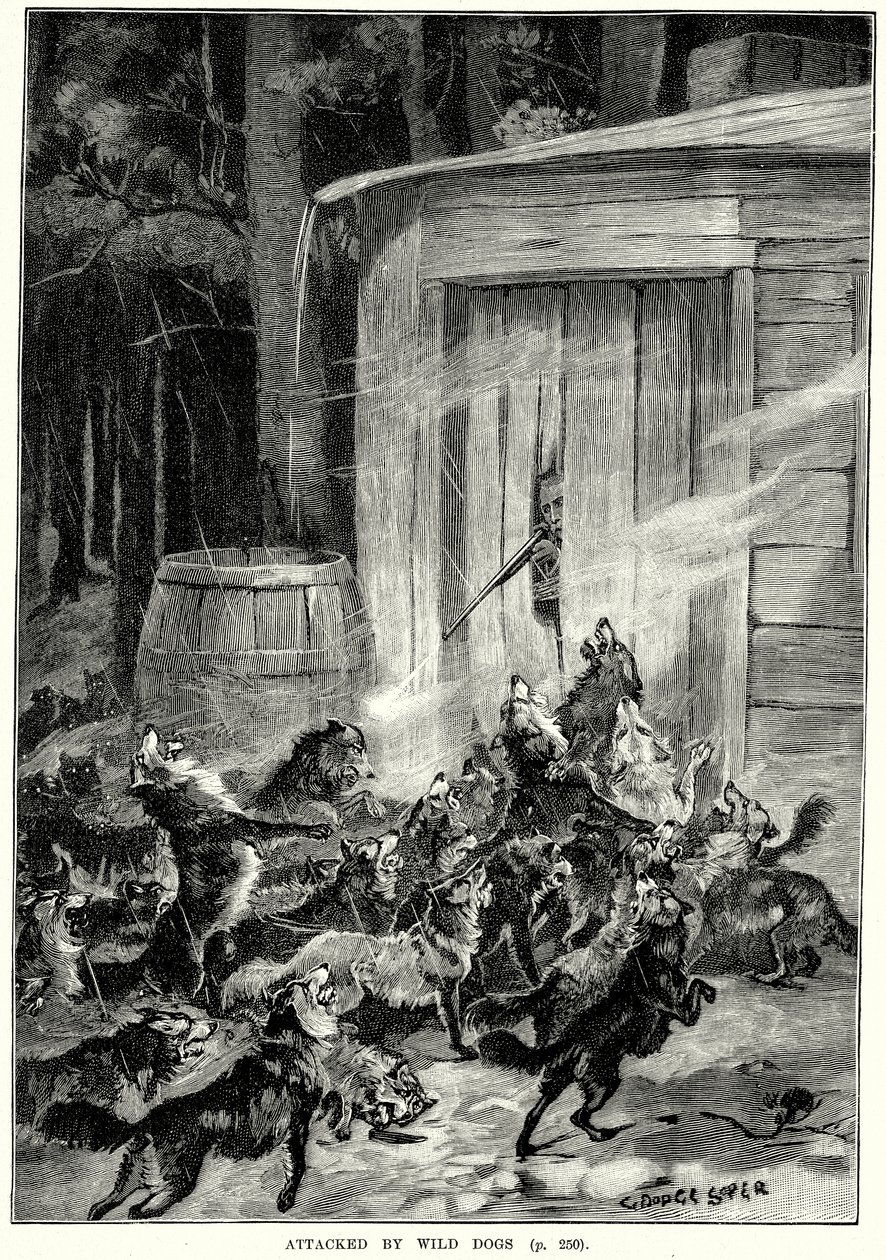 Attackerad av vilda hundar (gravyr) av English School