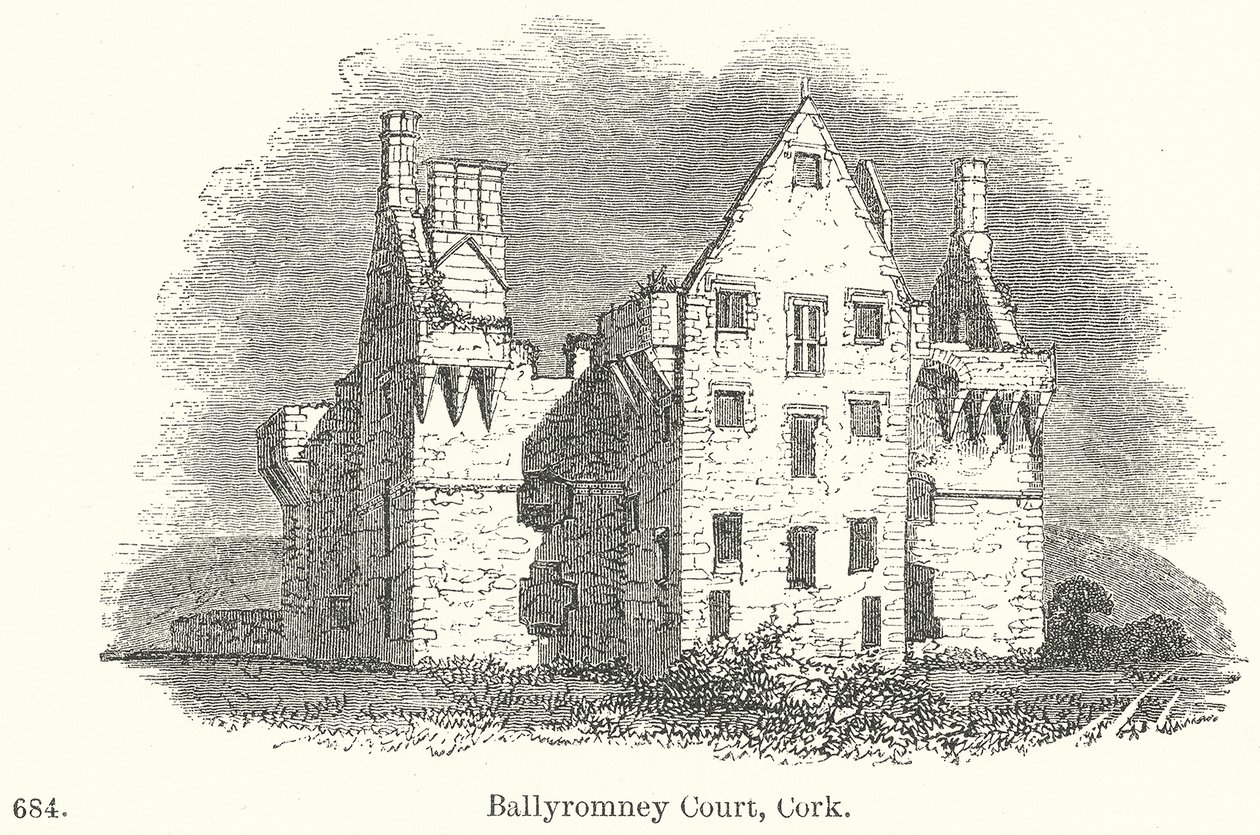 Ballyromney Court, Cork (gravyr) av English School