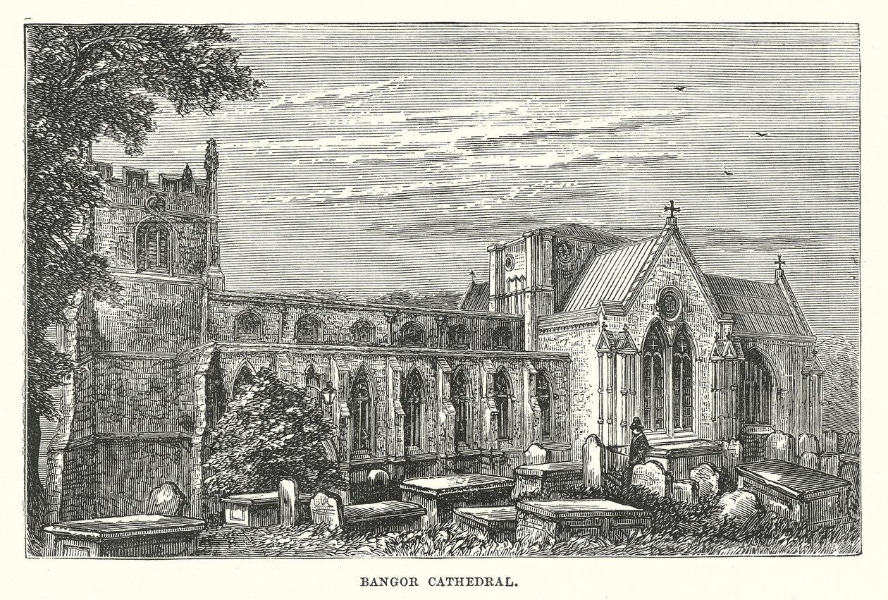 Bangor Cathedral (gravyr) av English School