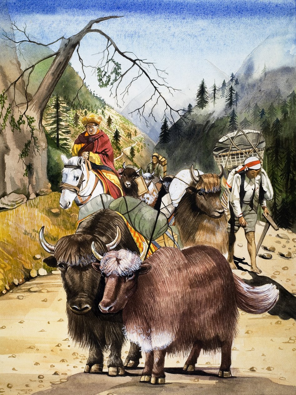 Lastdjur, illustration från "Nature
