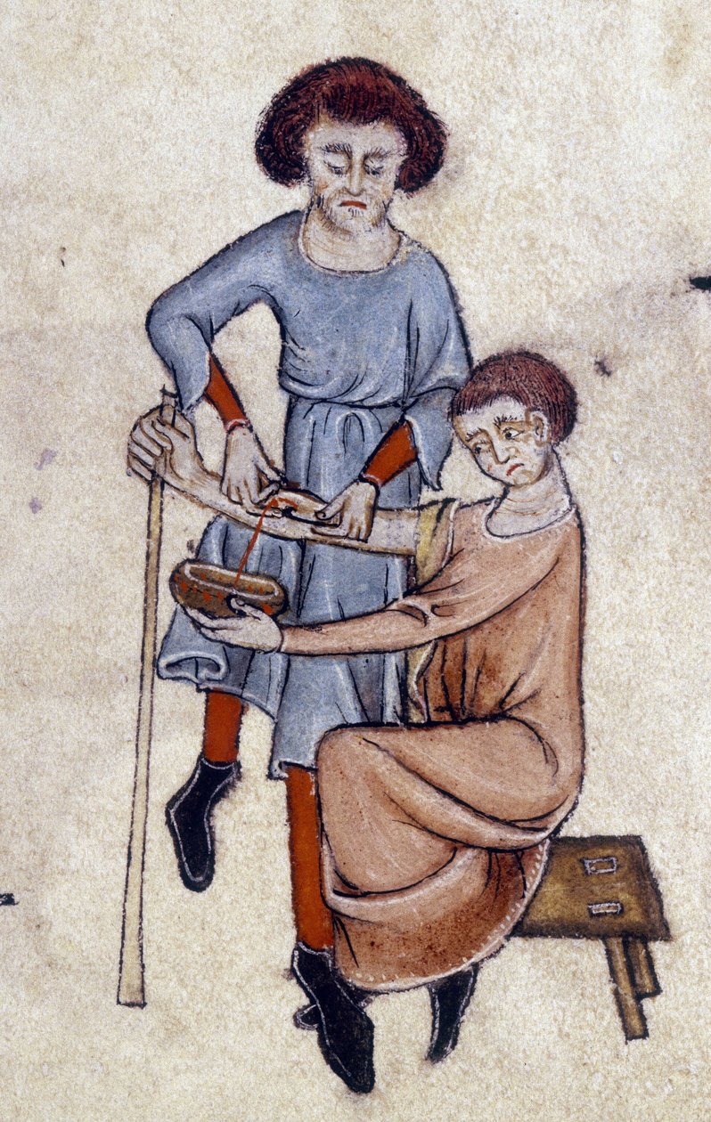 Blood Letting, från Luttrell Psalter, c.1325-35 (vellum) av English School