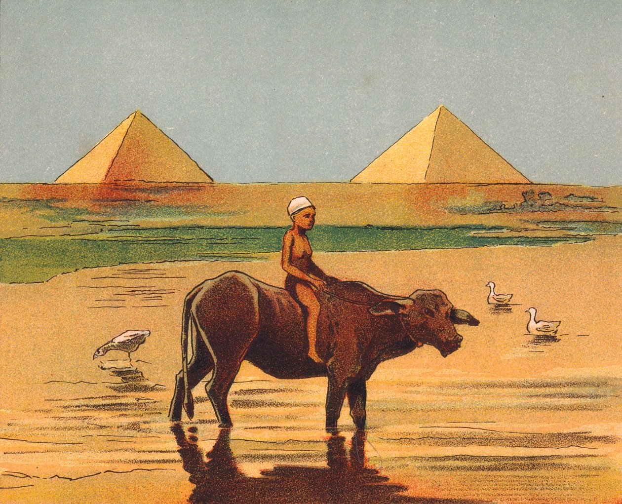 Pojke rider på en oxe framför pyramiderna, Egypten (färglitografi) av English School