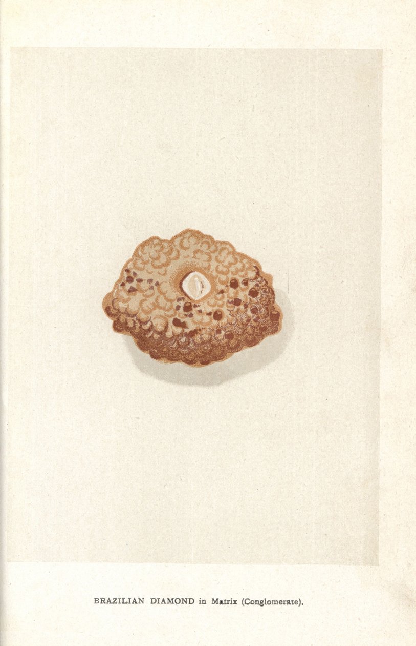 Brasiliansk diamant i matris (konglomerat), från Edwin Streeters "Precious Stones and Gems", London, George Bell & Sons av English School