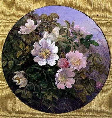Briar Roses, ca 1890 (akvarell på papper) av English School