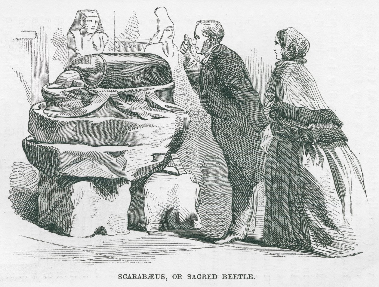British Museum: Scarabaeus, eller helig skalbagge (gravyr) av English School
