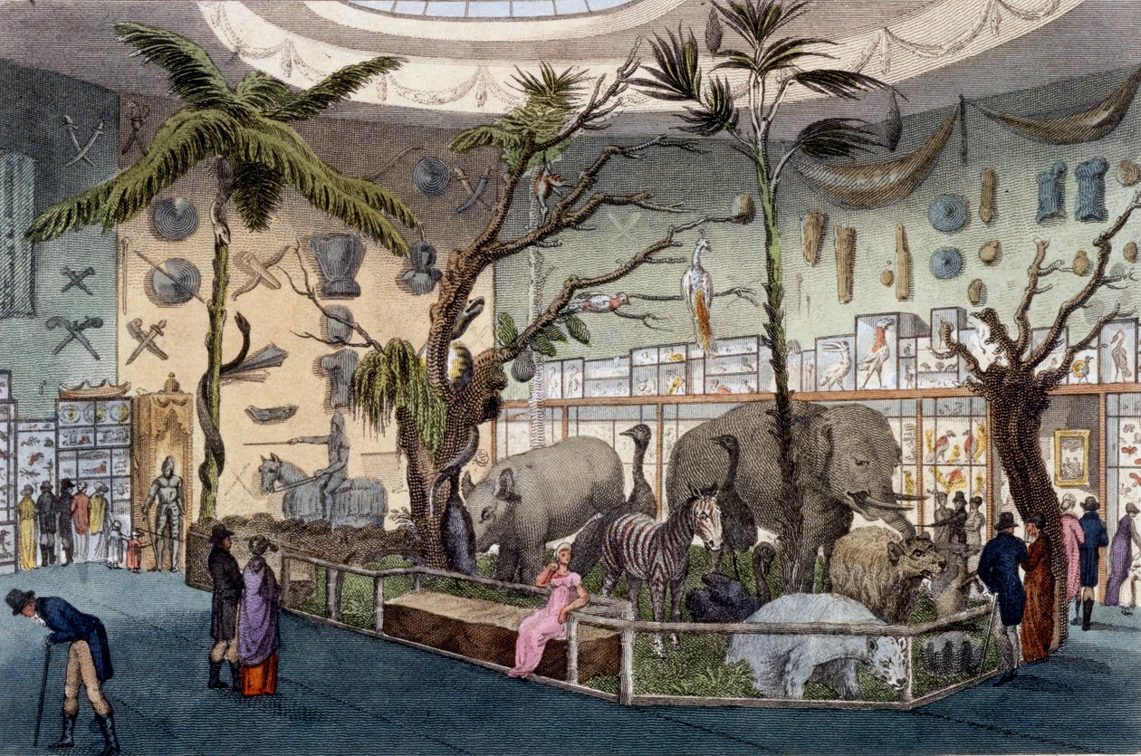 Bullocks Museum, 22 Piccadilly, London, från Ackermanns Repository of Arts, 1809 av English School