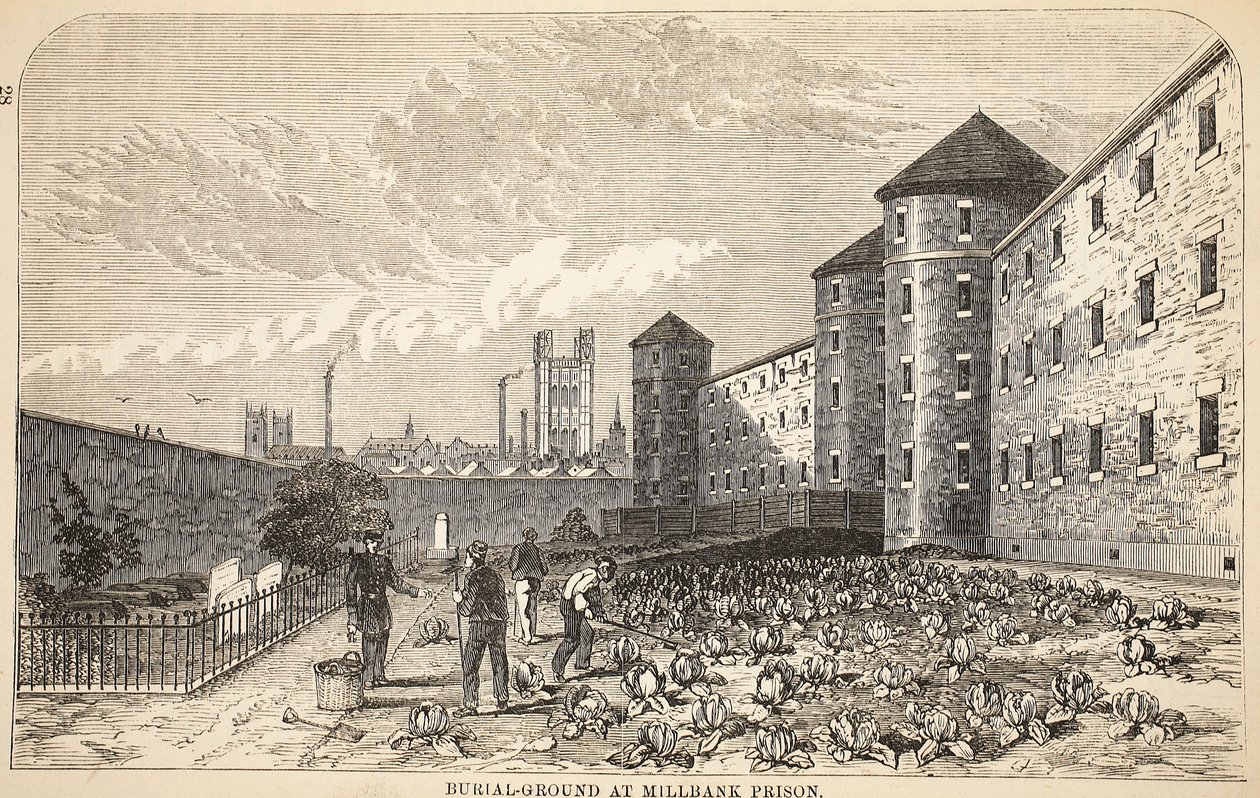 Gravplats vid Millbank Prison, illustration från The Criminal Prisons of London och scener från Prison Life av Henry Mayhew och John Binny, pub. 1862 av English School