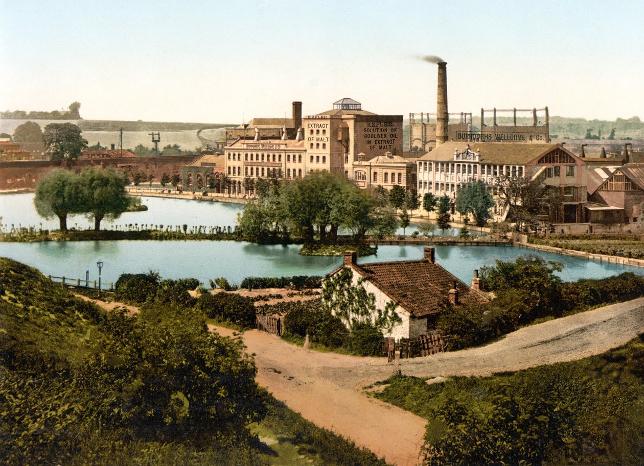 Burroughs, Wellcome & Company Factory, Dartford (handfärgat foto) av English School