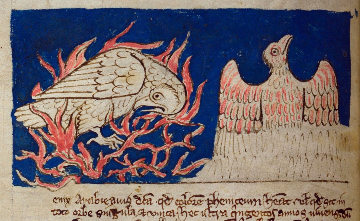 CCA-LitMs/D/10 fol. 17v Pheonix, från Bestiary av English School
