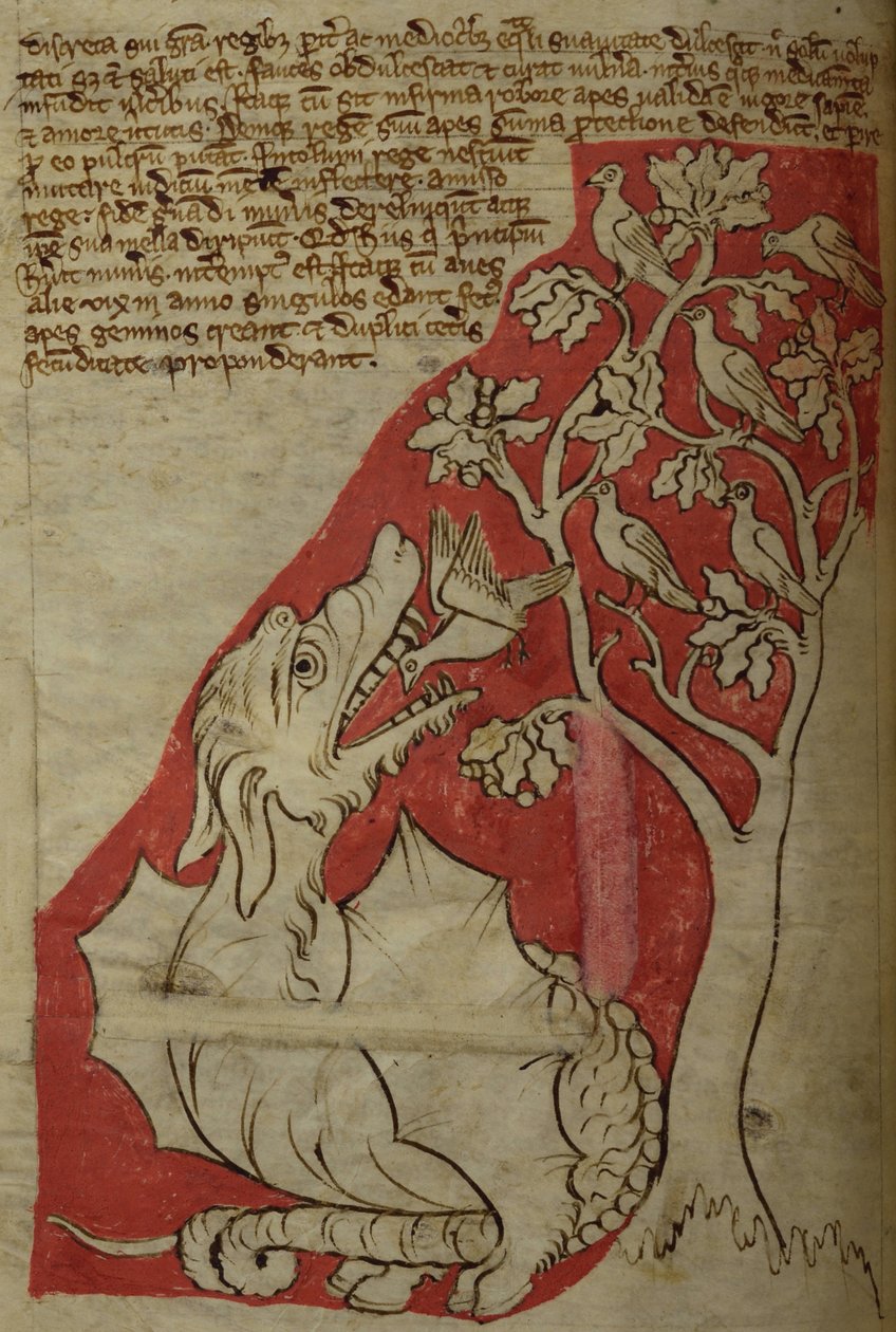CCA-LitMs/D/10 fol. 23v The Perindens Tree, från Bestiary av English School