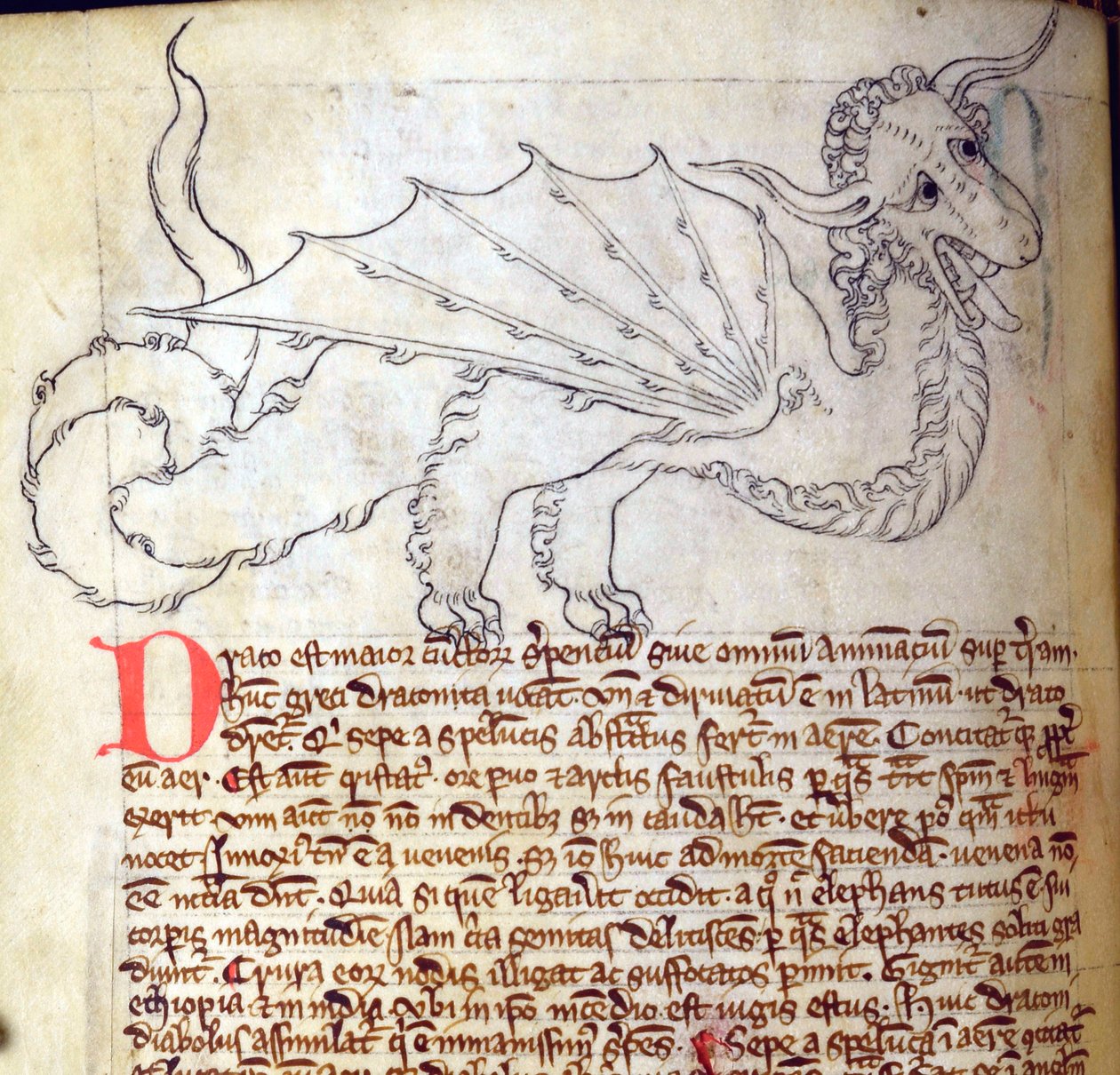 CCA-LitMs/D/10 fol. 24v Dragon, från Bestiary av English School