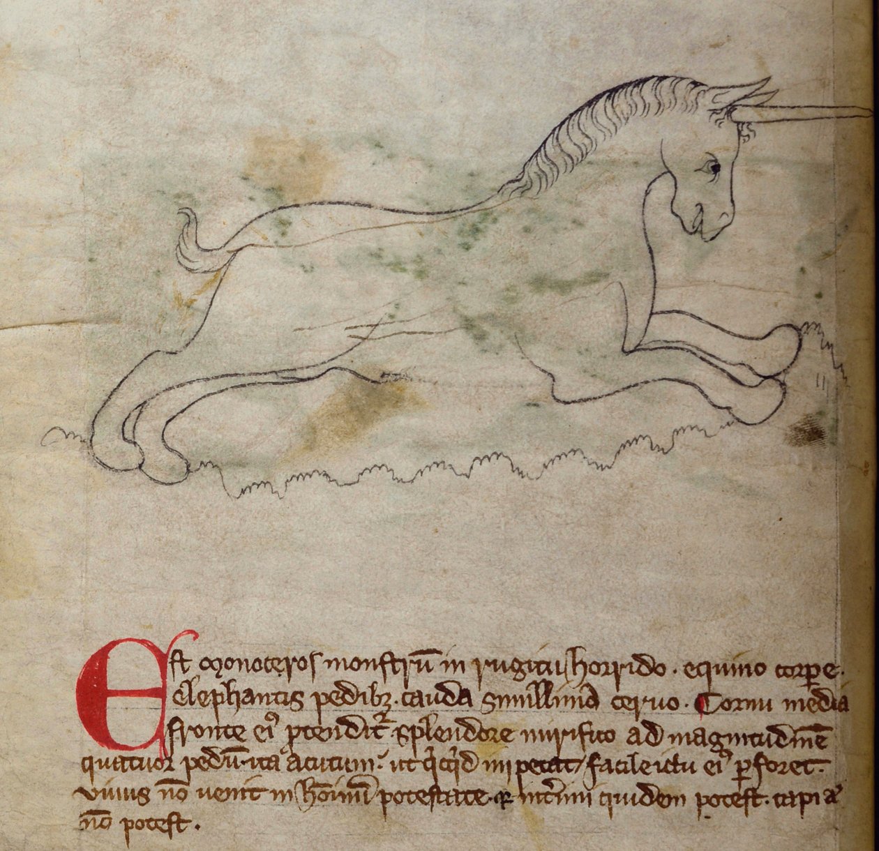 CCA-LitMs/D/10 fol. 2v Monoceros, från Bestiary av English School