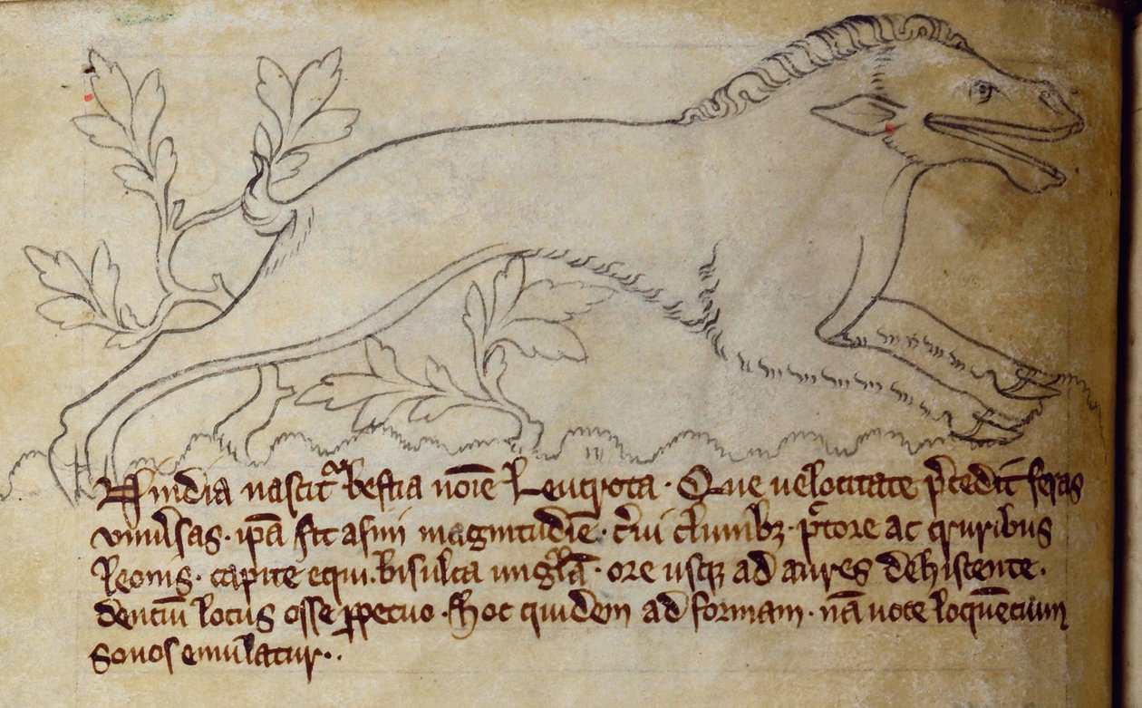CCA-LitMs/D/10 fol. 3v Leucrota, från Bestiary av English School