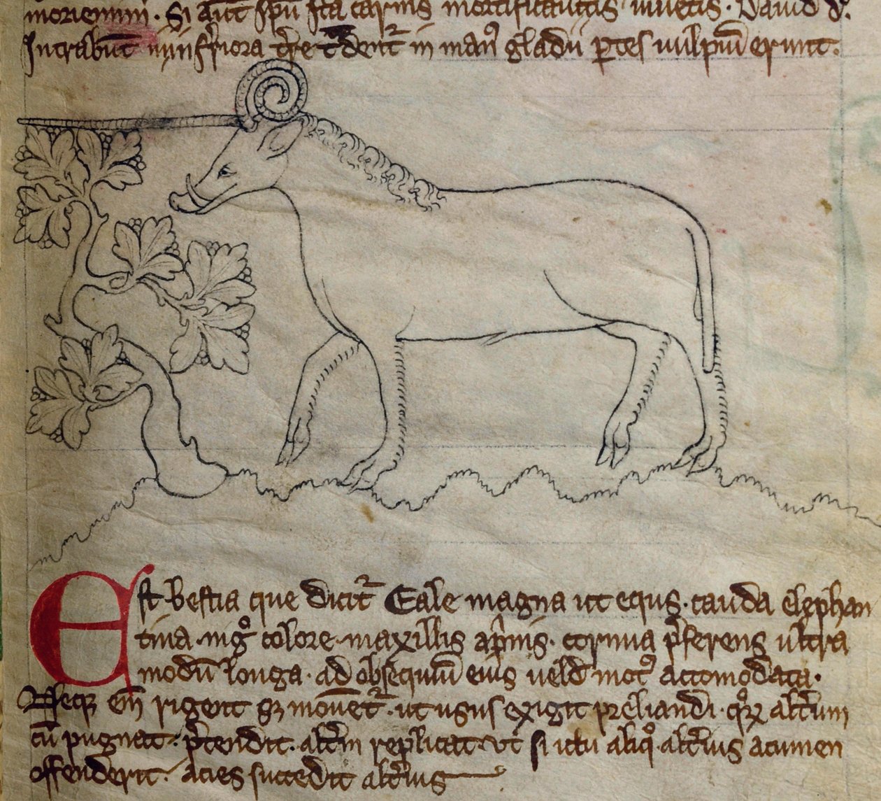 CCA-LitMs/D/10 fol. 4r Yale, från Bestiary av English School