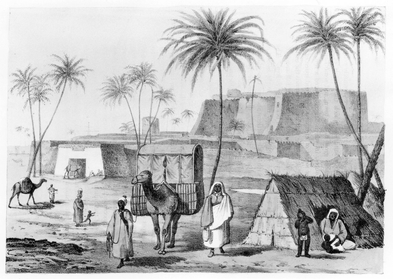 Kamelströ vid Morzouk i Fezzan, Libyen, från Narrative of Travels in Northern Africa av G.F. Lyon, publicerad 1821 av English School