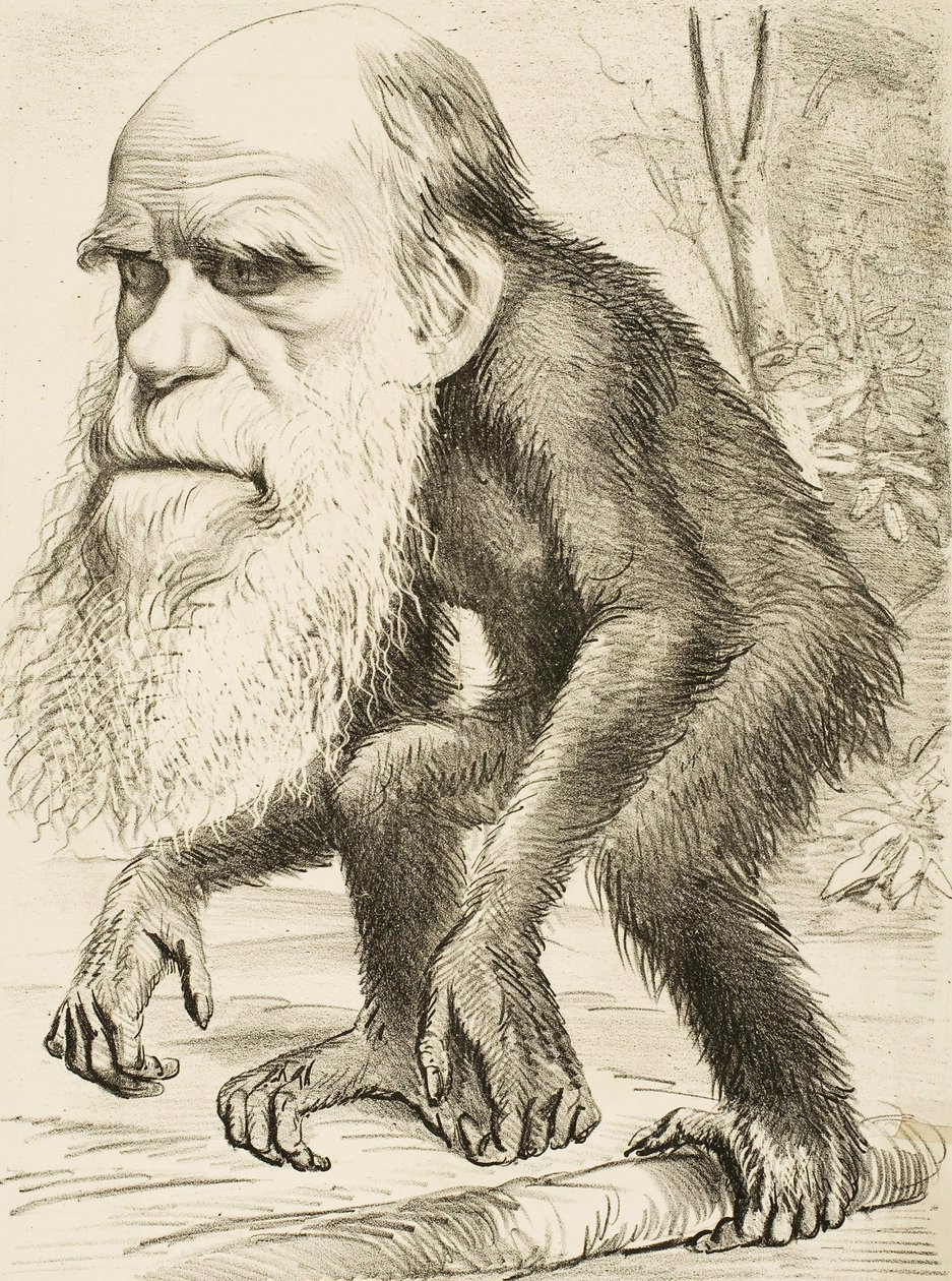 Karikatyr av Charles Darwin av English School