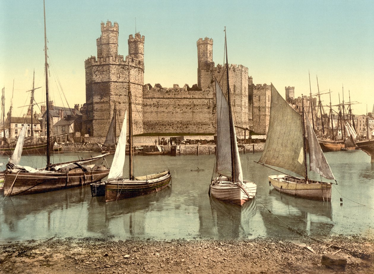 Carnarvon Castle (handfärgat foto) av English School