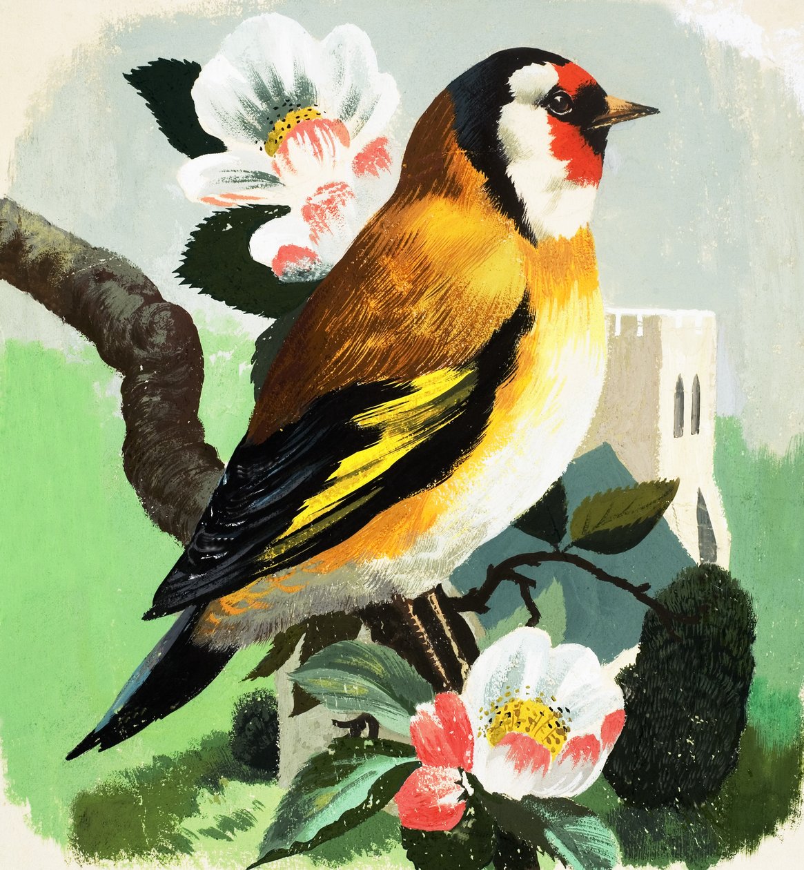 Bofink (gouache på papper) av English School
