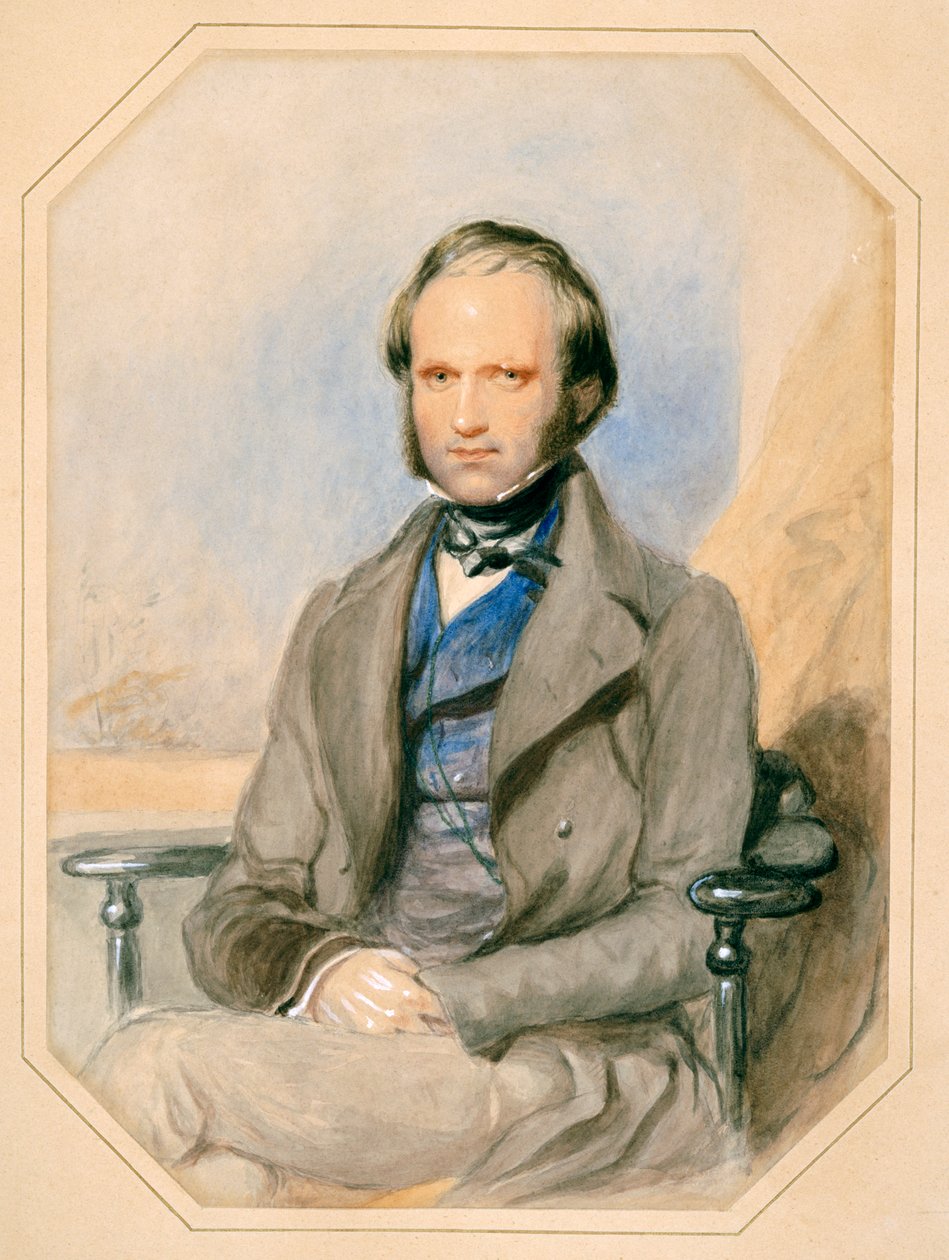 Charles Darwin (akvarell på papper) av English School