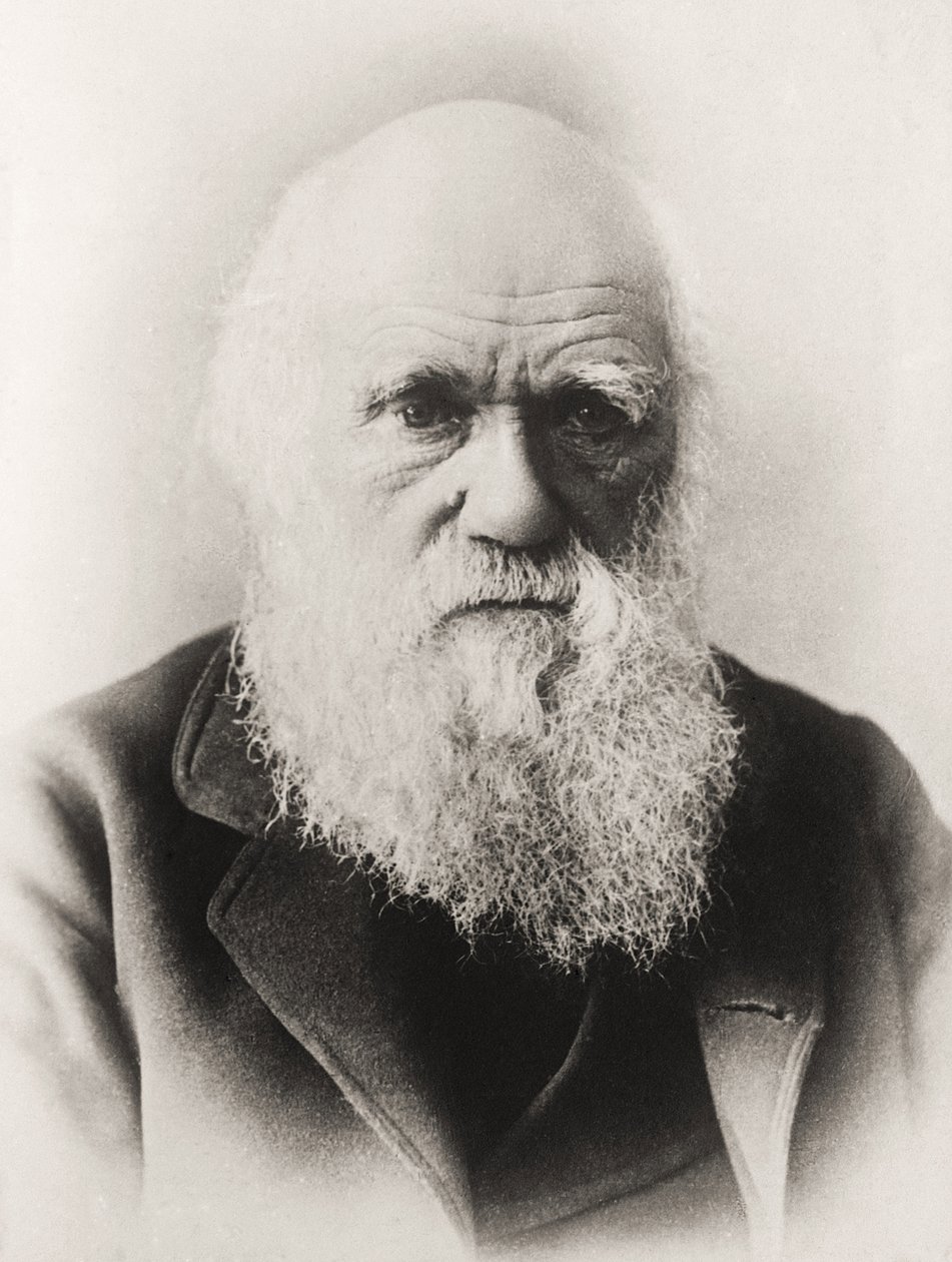 Charles Darwin av English School
