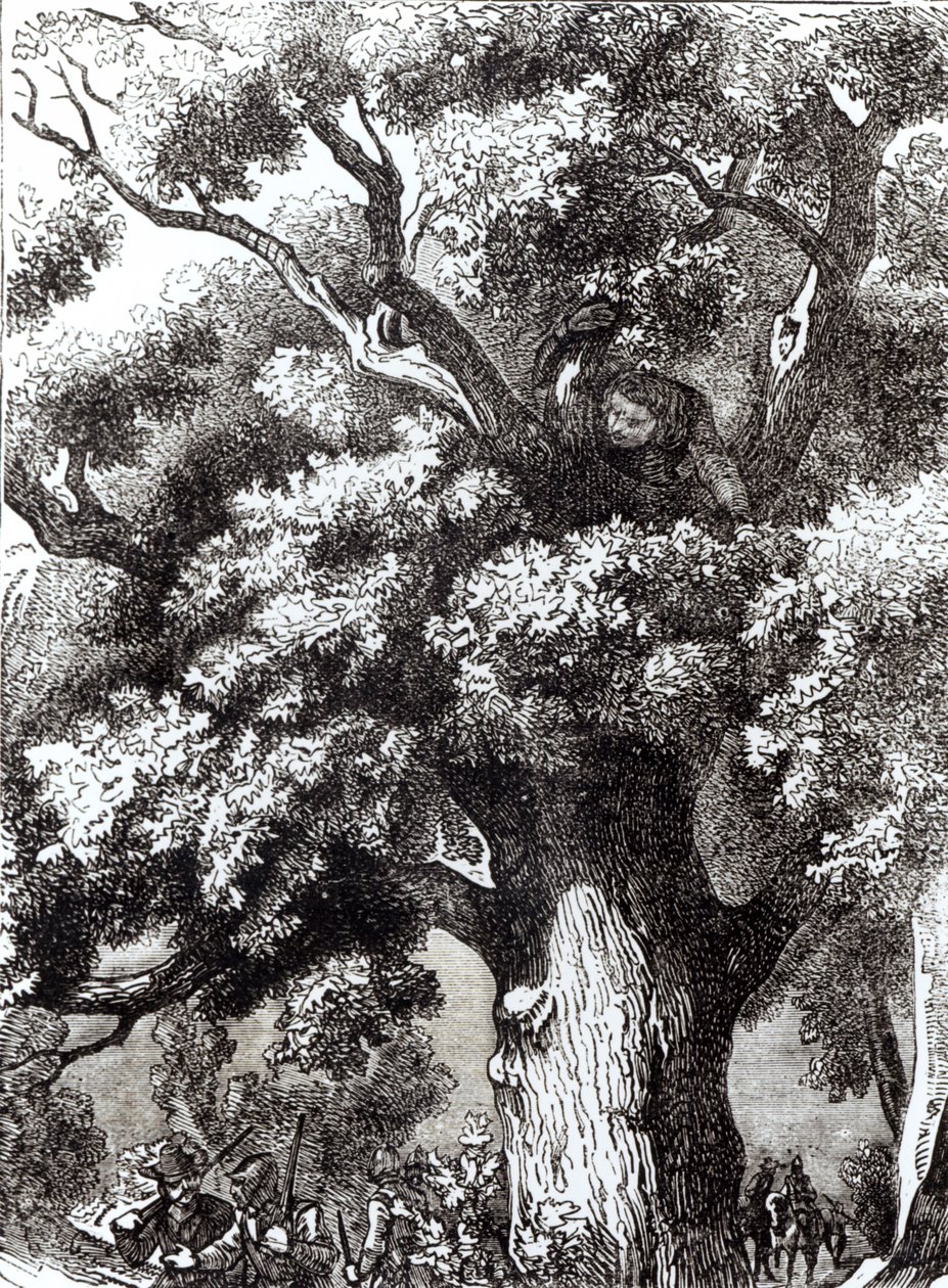 Karl II (1630-85) gömd i eken, 14 oktober 1651 av English School