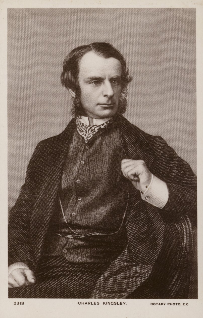 Charles Kingsley (1819-1875), engelsk präst, historiker och romanförfattare (litografi) av English School