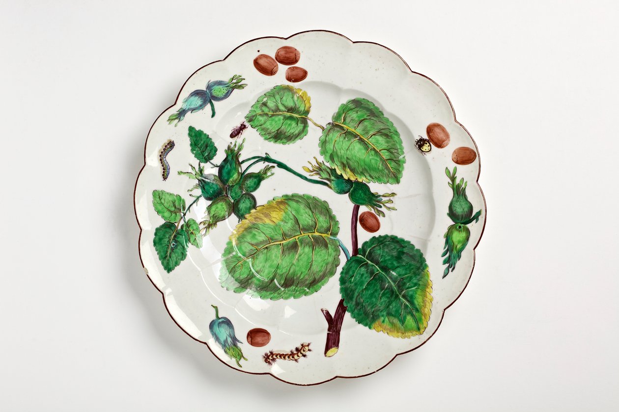 Chelsea tallrik dekorerad med botanisk illustration av nötter, insekter och löv, 1755 (porslin) av English School