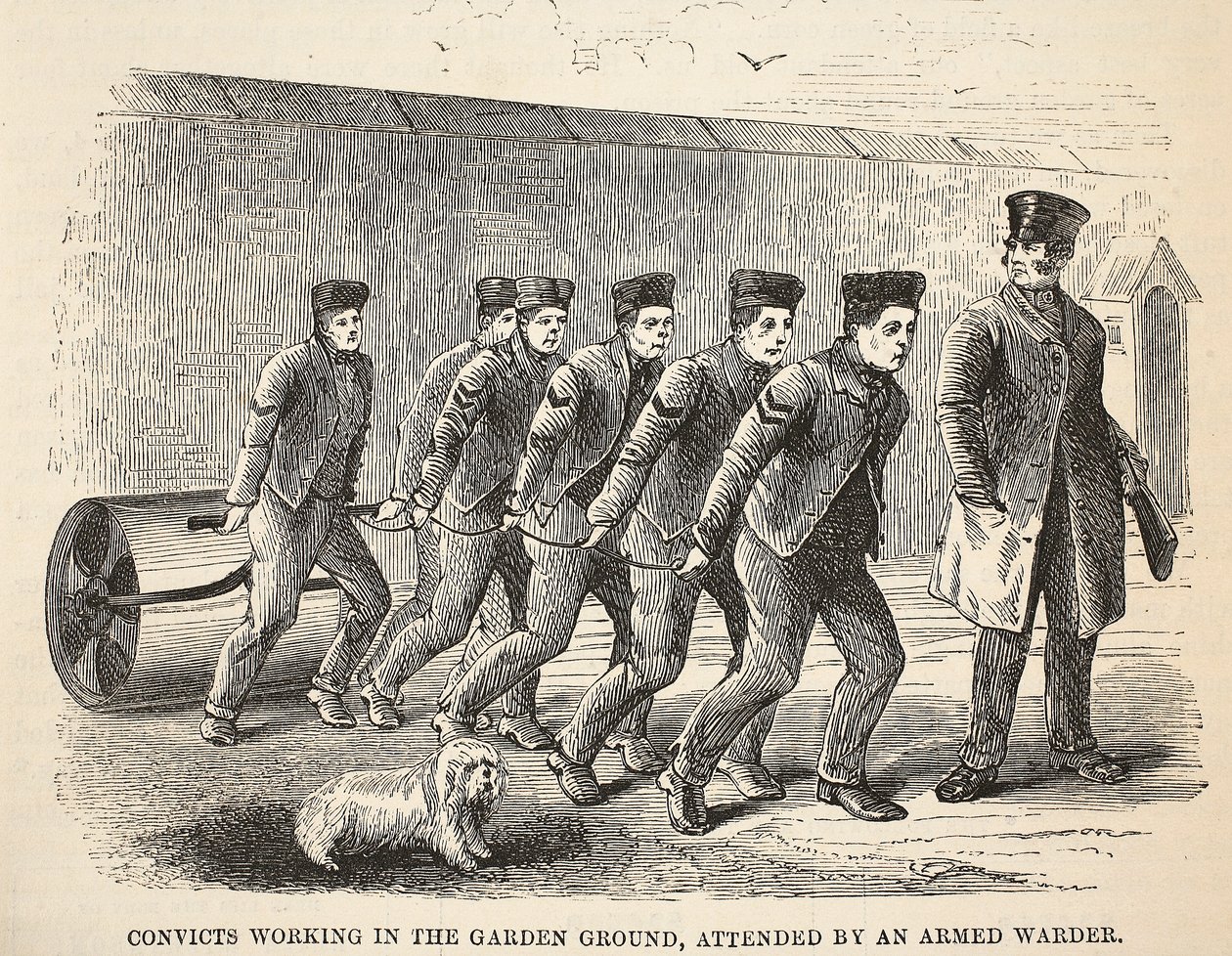 Fångar som arbetar i trädgården, med en beväpnad vaktmästare, illustration från The Criminal Prisons of London och Scenes from Prison Life av Henry Mayhew och John Binny, pub. 1862 av English School