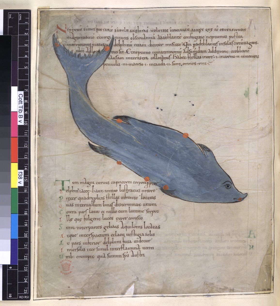 Cotton Tiberius B. V, Del I fol.38v Stjärnbilden Delphinus från 