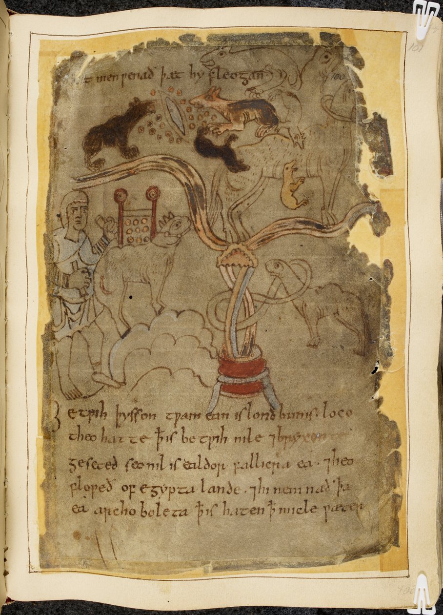 Cotton Vitellius A. XV, f.101r, Tre hundliknande myror som attackerar en bunden kamel, man i tunika, illustration från Beowulf, från 