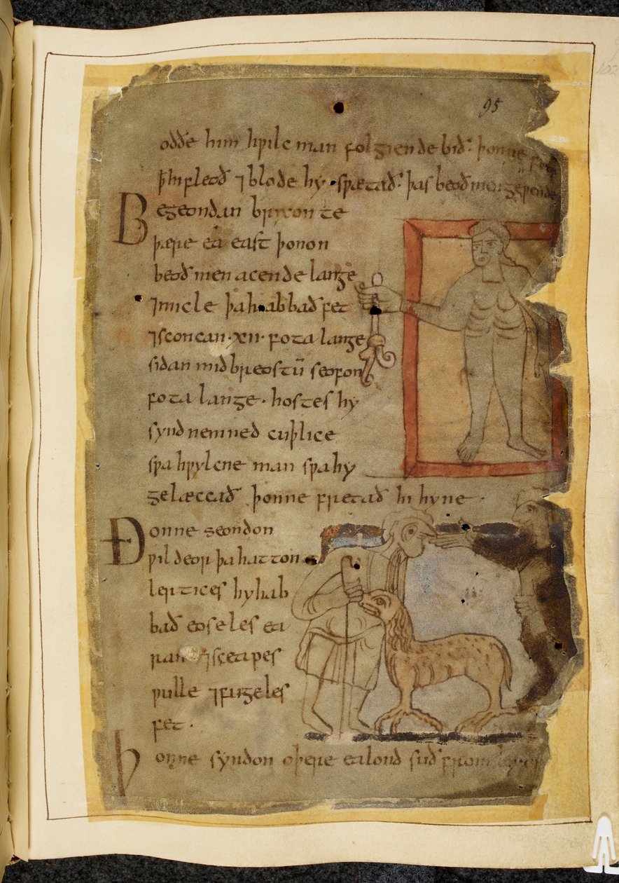 Cotton Vitellius A. XV, f.102, En naken man som håller i en växt; två män som pratar, och mellan dem en lertix, ett fårliknande odjur, illustration från Beowulf, från 