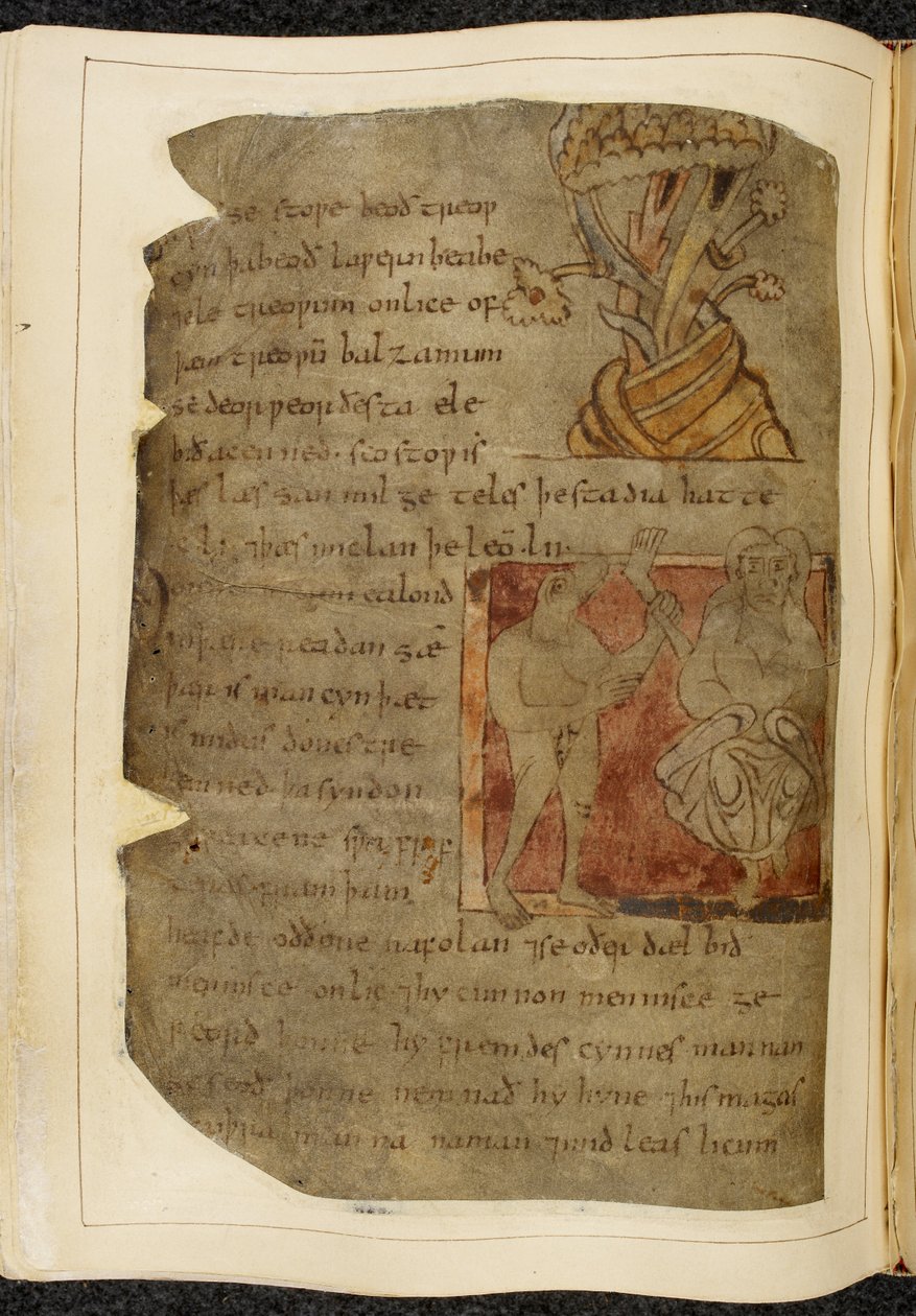 Bomull Vitellius A. XV f.103v, Ett träd från vilket balsam växer; en donestre, en man med djurhuvud, till vänster som håller ett mänskligt ben och fot, och en person till höger, illustration från Beowulf, från 