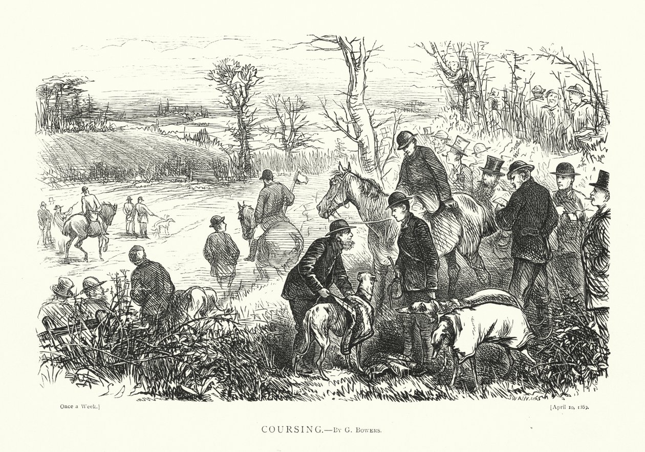 Coursing (gravyr) av English School