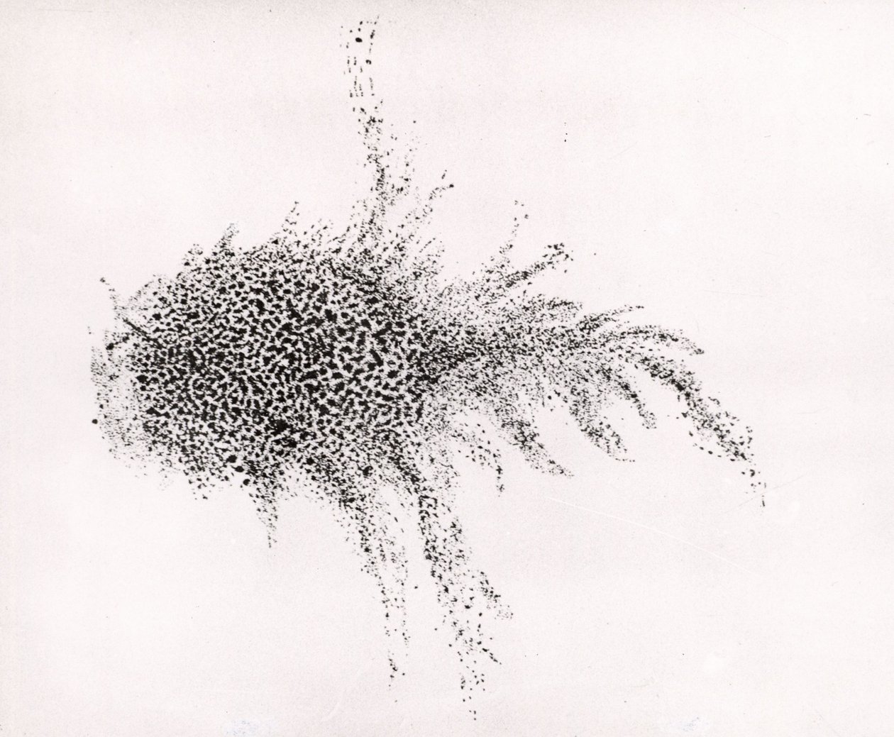 "Krabbnebulosan" av William Parsons, från "Observations on some of the Nebulae" från "Philosophical Transactions of the Royal Society av English School