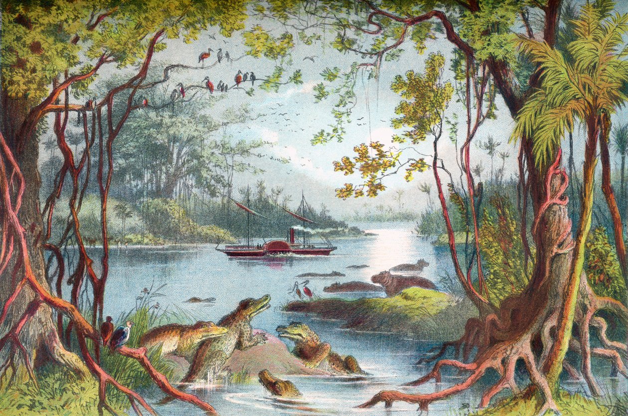 David Livingstones skepp The Ma-Robert på Zambezifloden, Afrika, under hans Zambeziexpedition på 1800-talet. Från The Life and Explorations of Dr. Livingstone publicerad c.1875. av English School