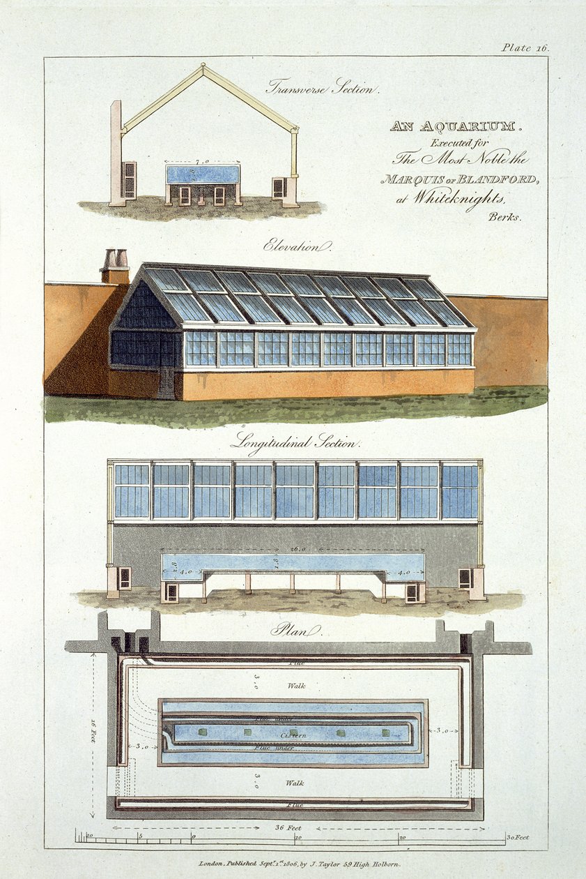 Design for An Aquarium, utförd för The Marquis of Blandford at Whiteknights, 1806 av English School