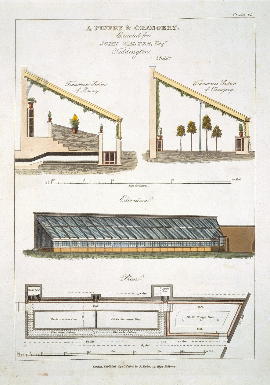 Design för ett pinery och orangeri i Teddington, 1806 av English School