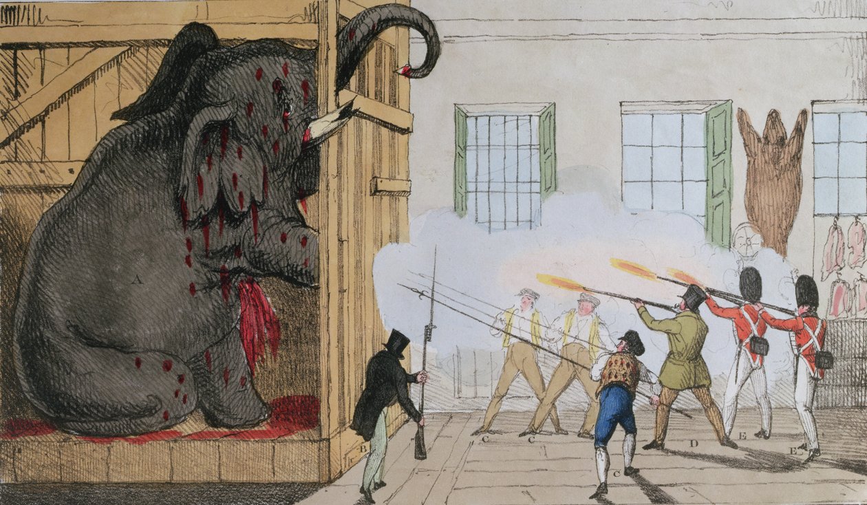 Förstörelse av den ädla elefanten vid Mr Crosss Exeter Change, 1826 av English School