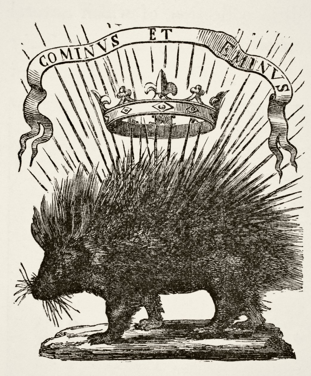 Ludvig XII:s anordning, 1878 av English School