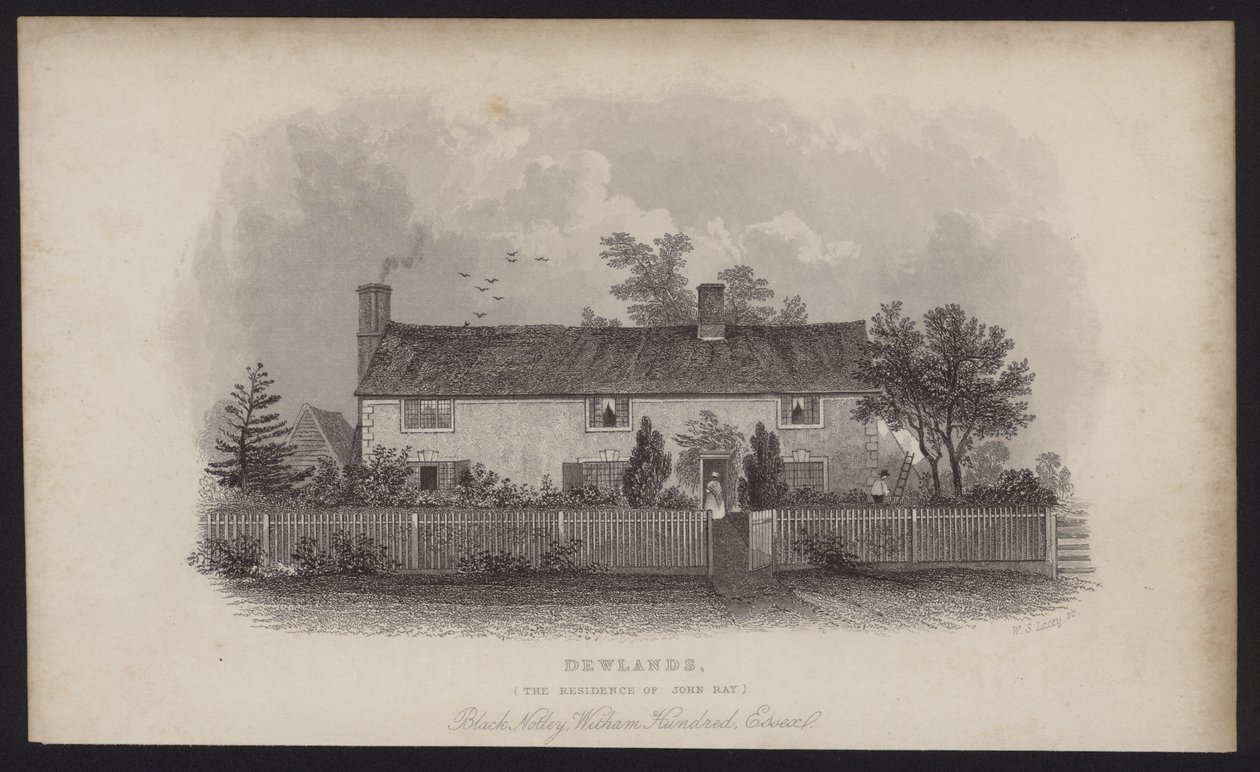 Dewlands, John Rays bostad, Black Notley, Witham Hundred, Essex (gravyr) av English School