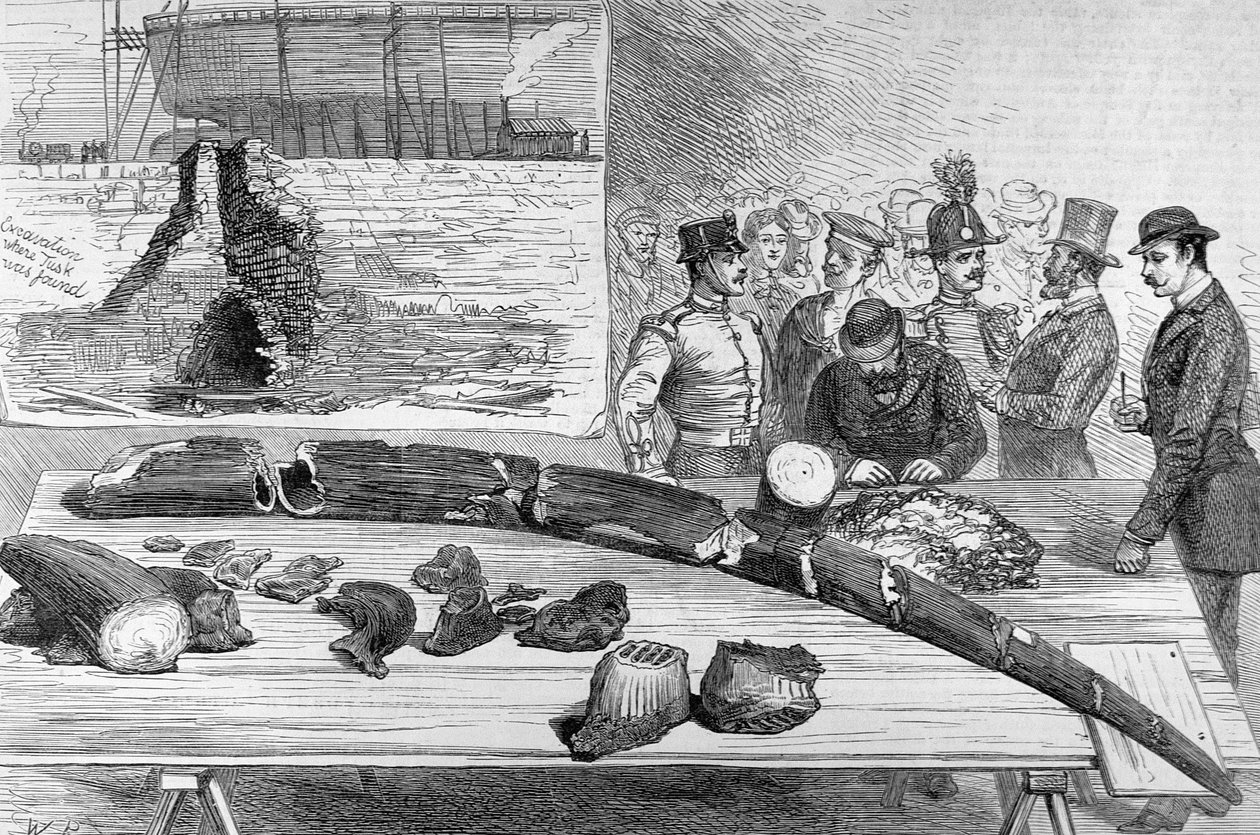 Discovery of Fossil Remains i Leghorn, Toscana, från The Illustrated London News, 21 januari 1882 av English School
