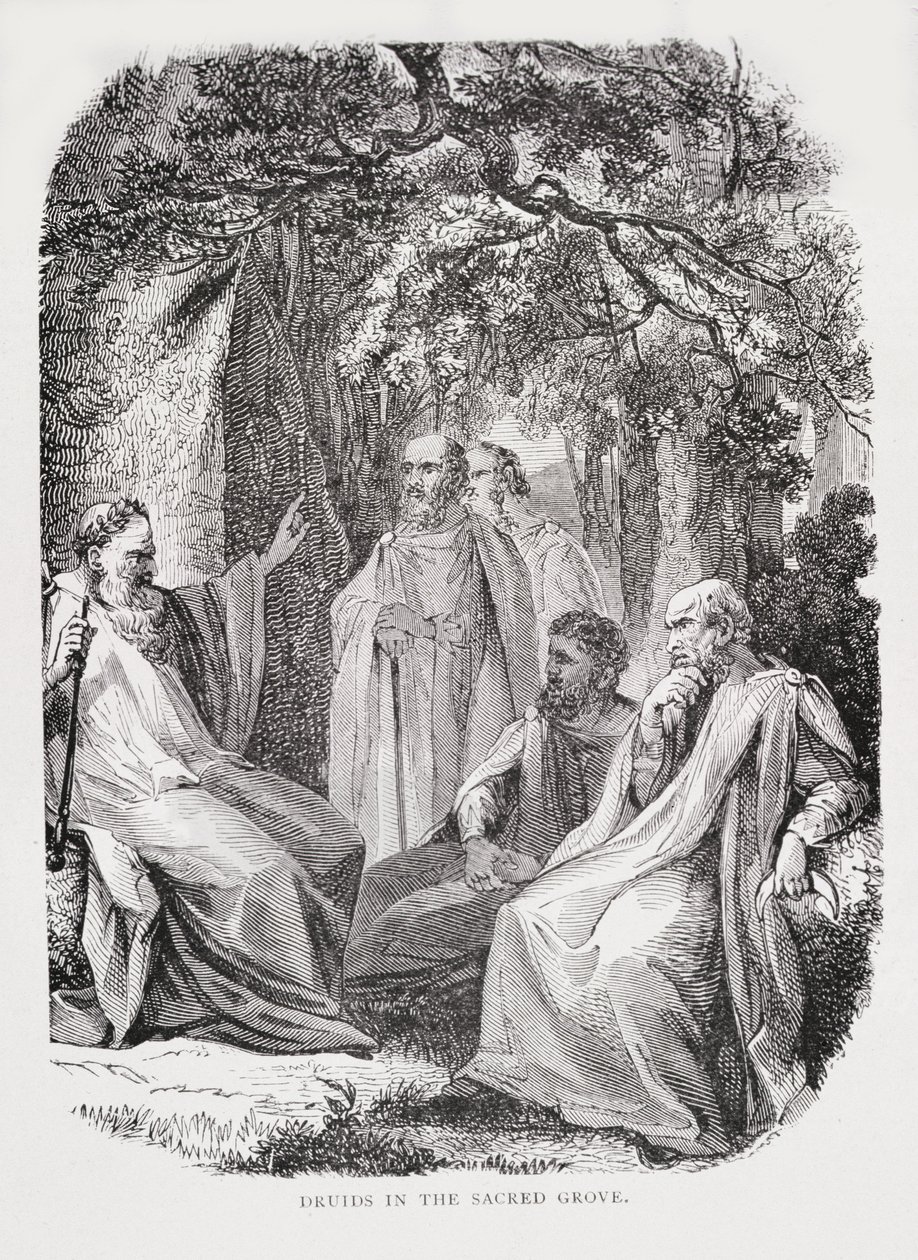 Druids in the Sacred Grove, från The History of France, av Emile de Bonnechose, utgiven av Ward, Lock and Co, London av English School