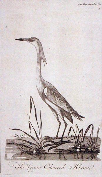 Egret, från 